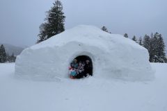 IMG_0460