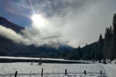 shared-image-2026-02-25T192816.723