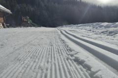 shared-image-2026-02-25T192821.520