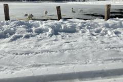 shared-image-2026-02-25T192826.387