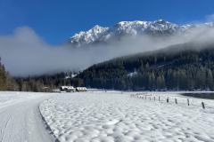 shared-image-2026-02-25T192831.690