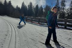 shared-image-2026-02-25T192905.631