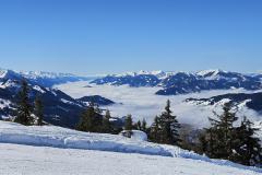 shared-image-2026-02-25T193035.695