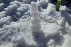 shared-image-2026-02-25T193050.434