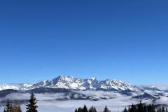 shared-image-2026-02-25T193615.410