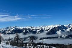 shared-image-2026-02-25T195057.438