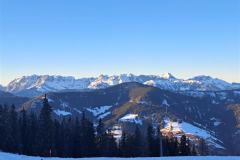 shared-image-2026-02-25T201211.048