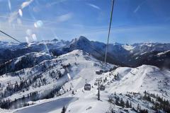 shared-image-2026-02-26T215812.523