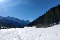 shared-image-2026-02-26T220424.007